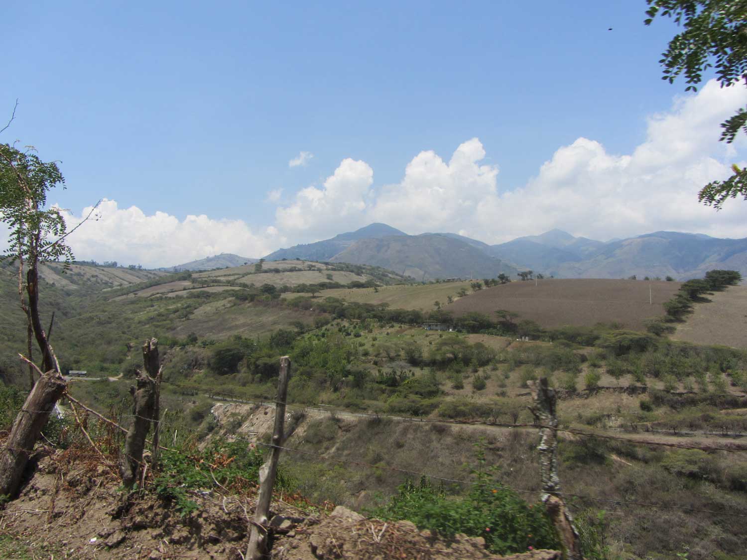 Habitat