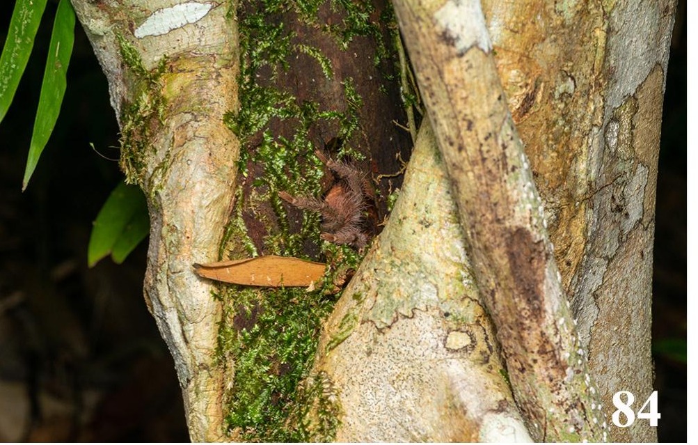 Habitat