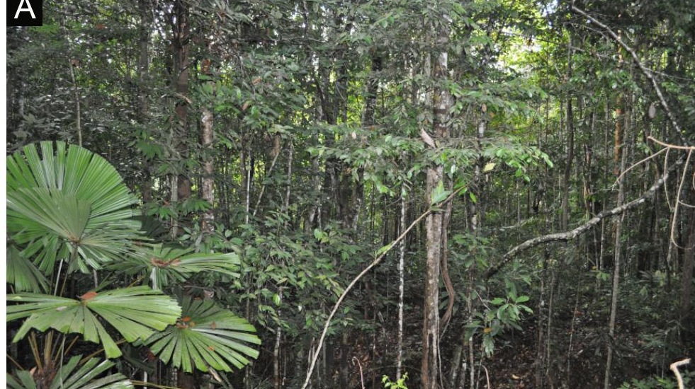 Habitat