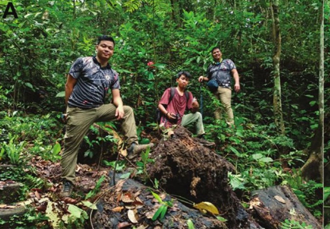 Habitat