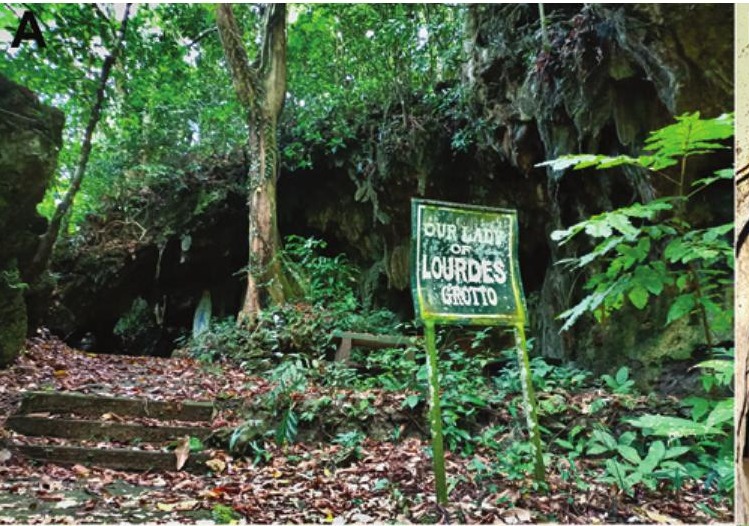 Habitat