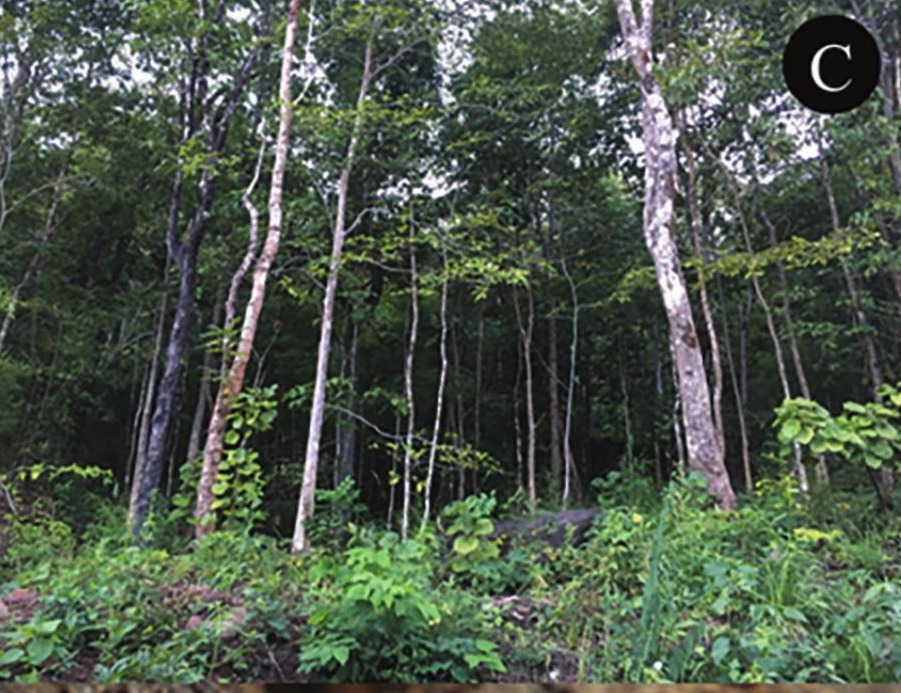 Habitat