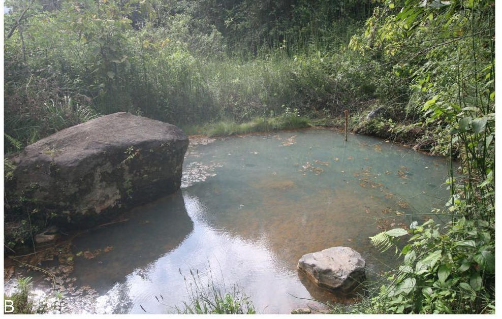 Habitat