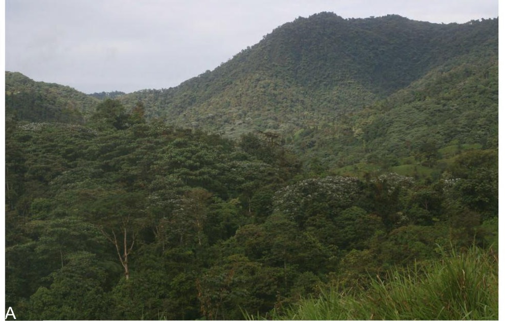 Habitat