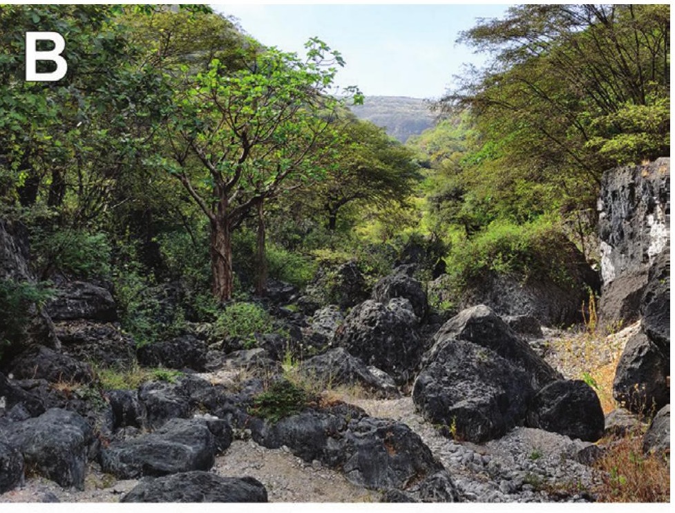 Habitat