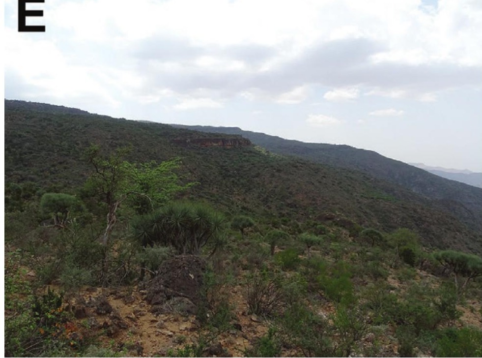 Habitat