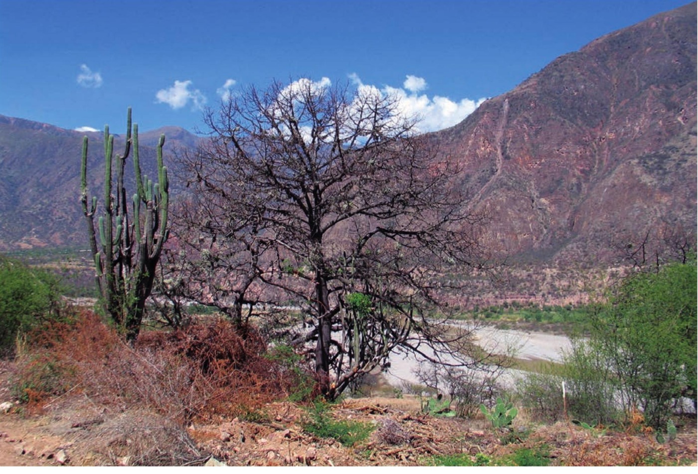 Habitat