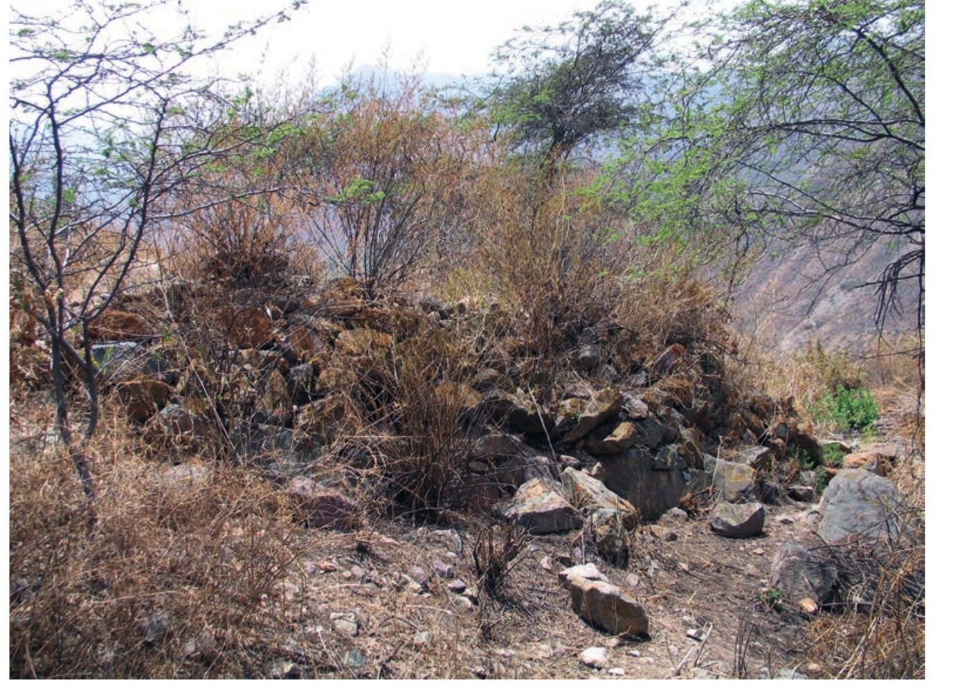 Habitat