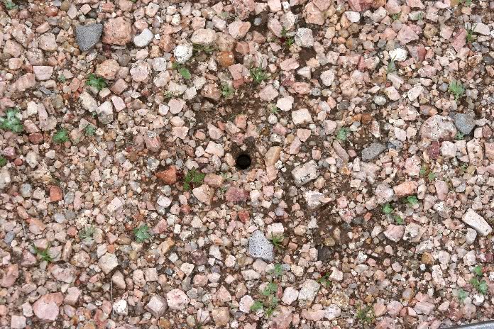 Burrow