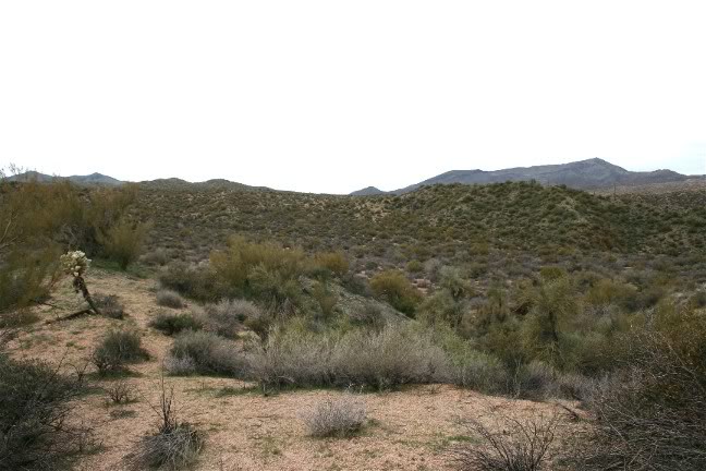 Habitat