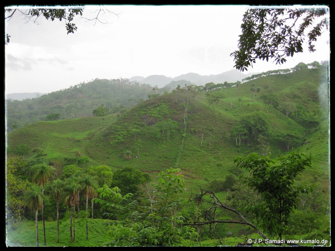 Habitat