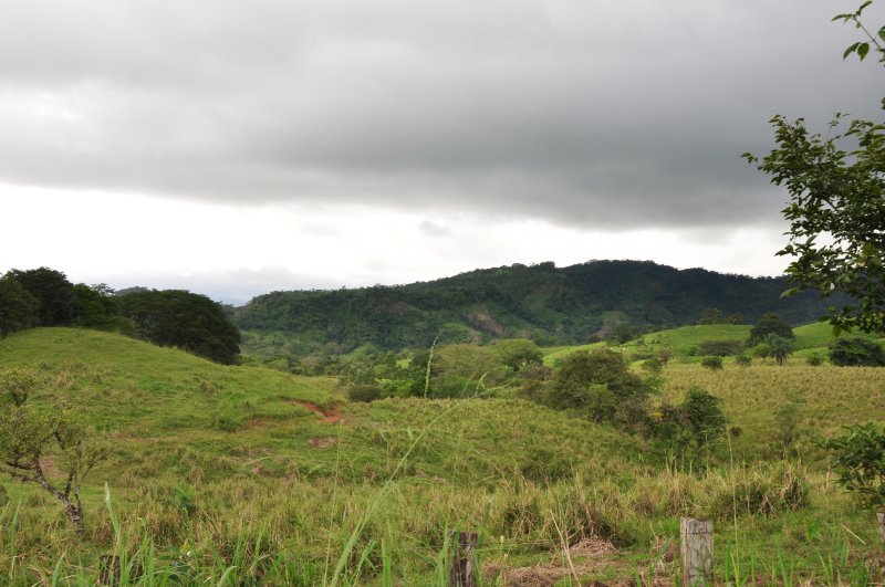 Habitat