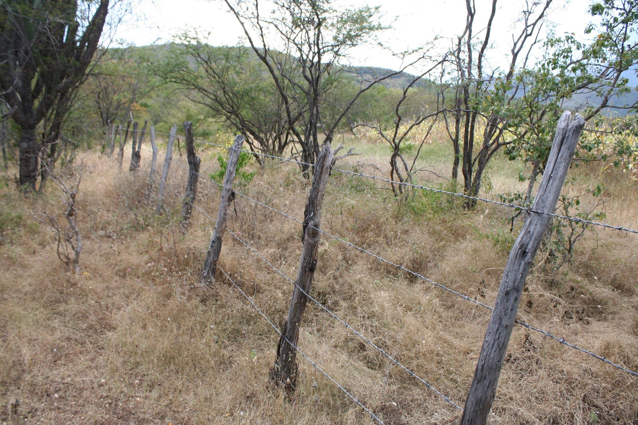 Habitat