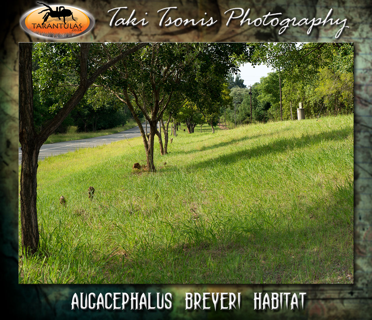 Habitat