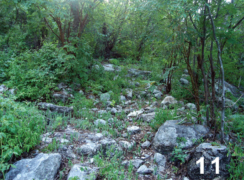 Habitat