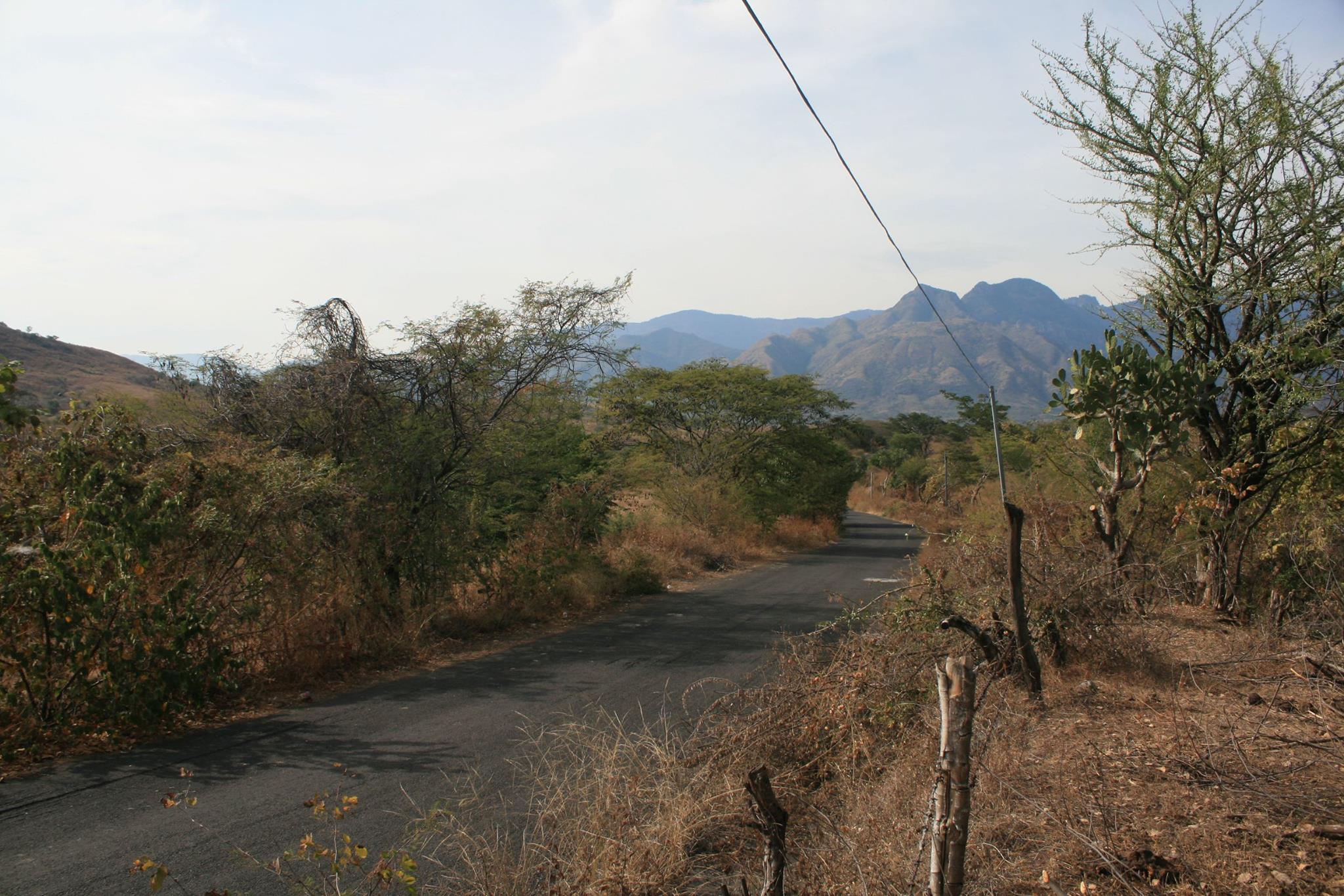 Habitat