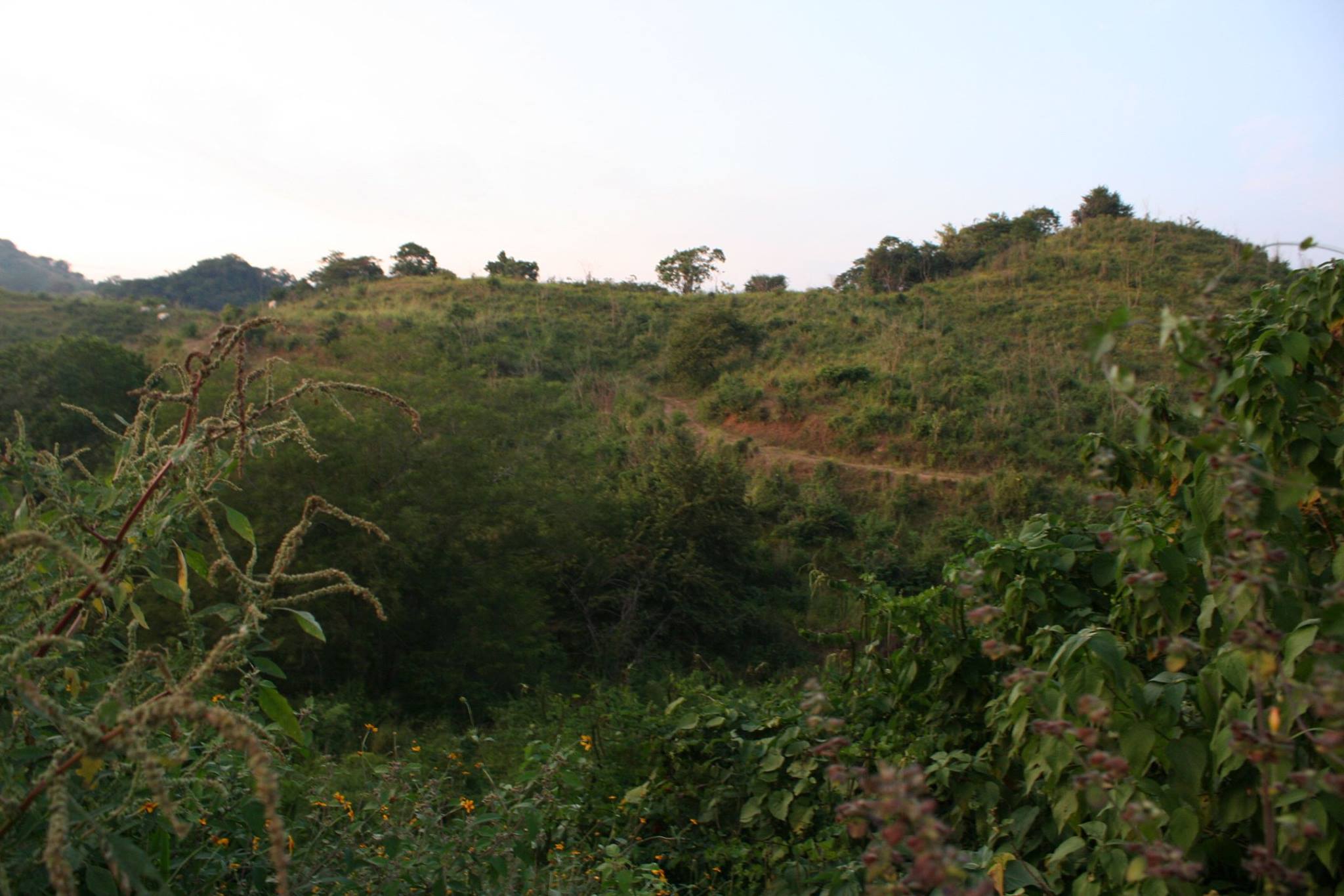 Habitat