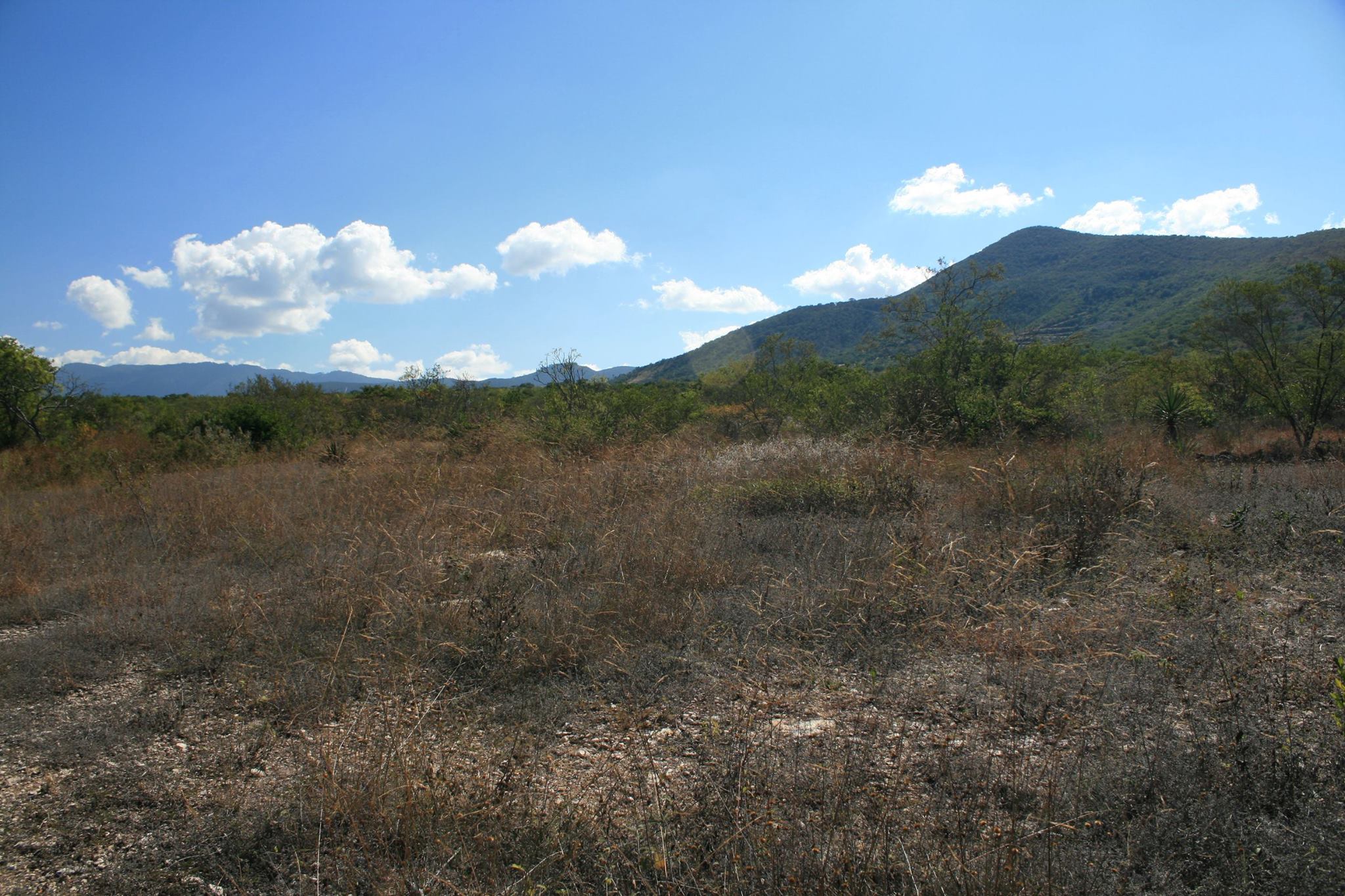 Habitat