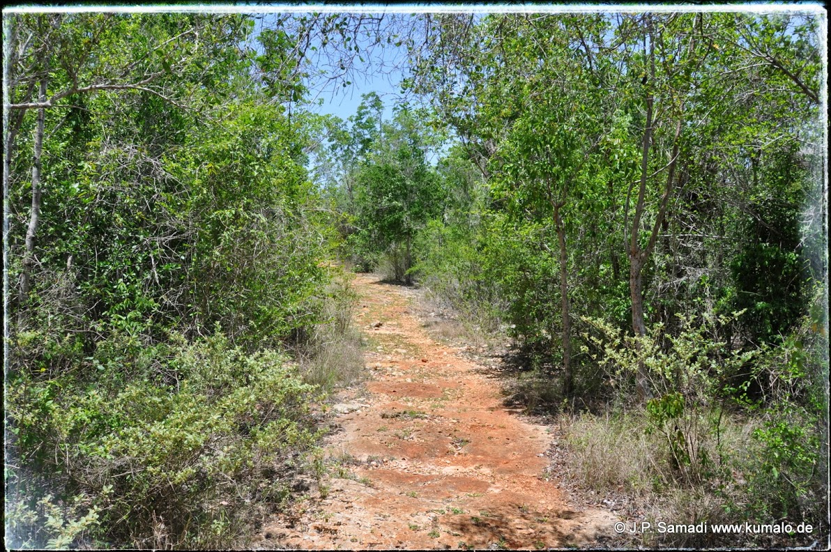 Habitat