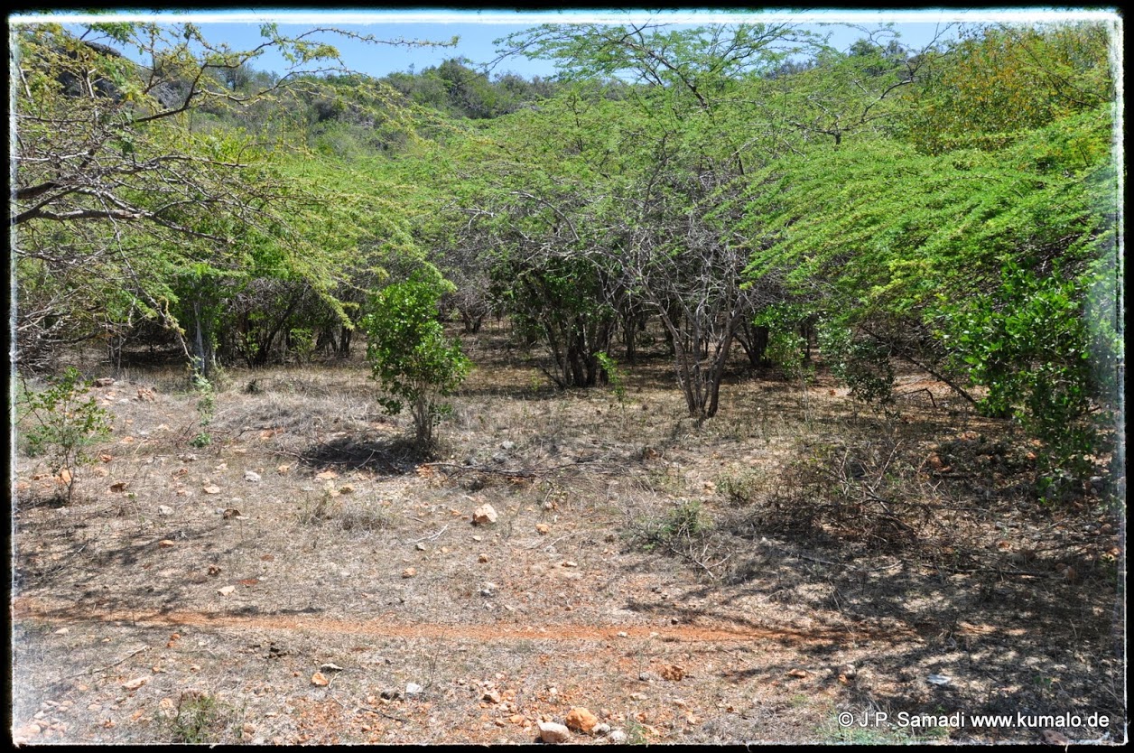 Habitat