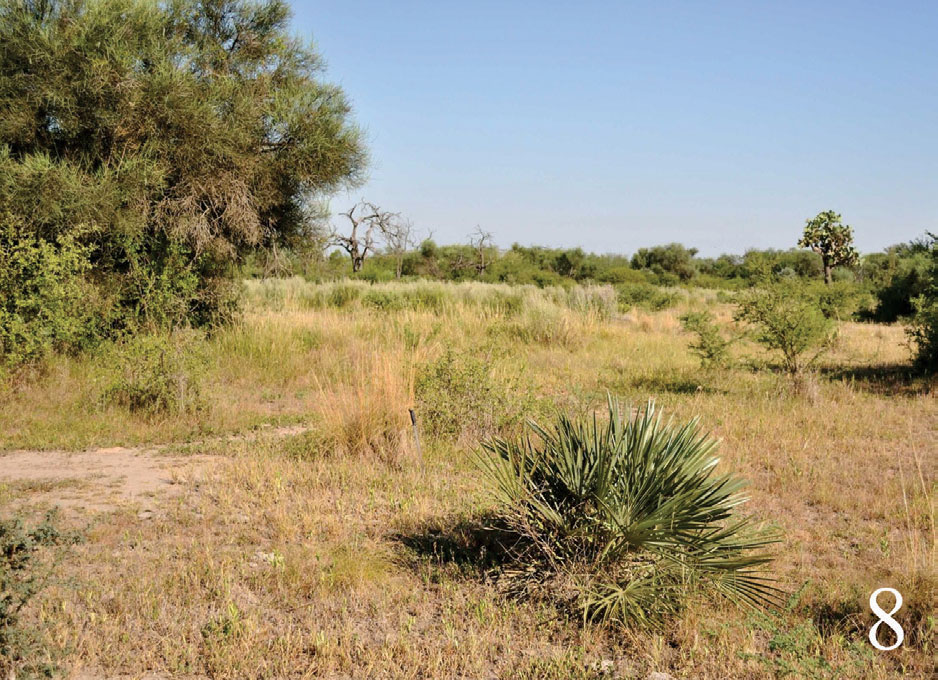 Habitat