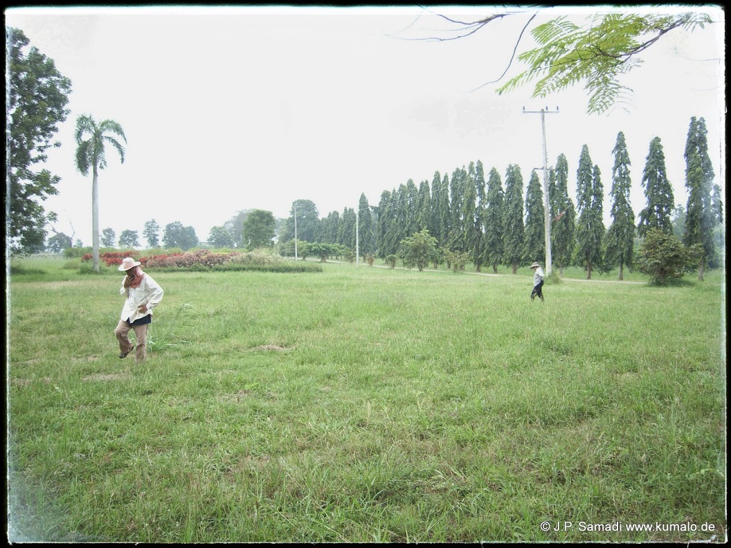 Habitat