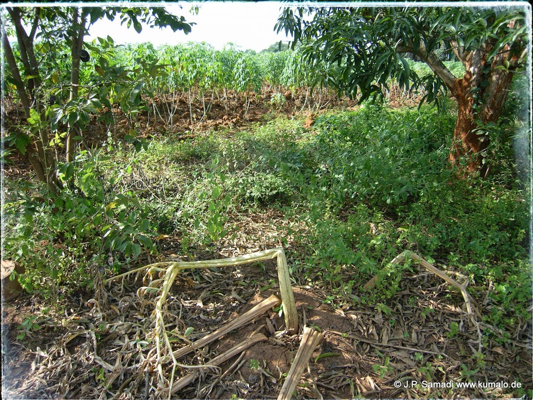 Habitat
