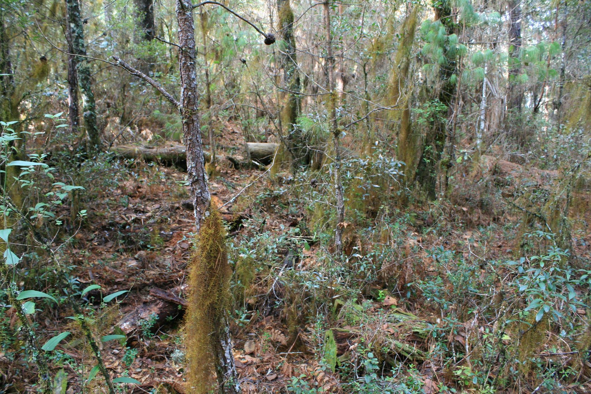 Habitat