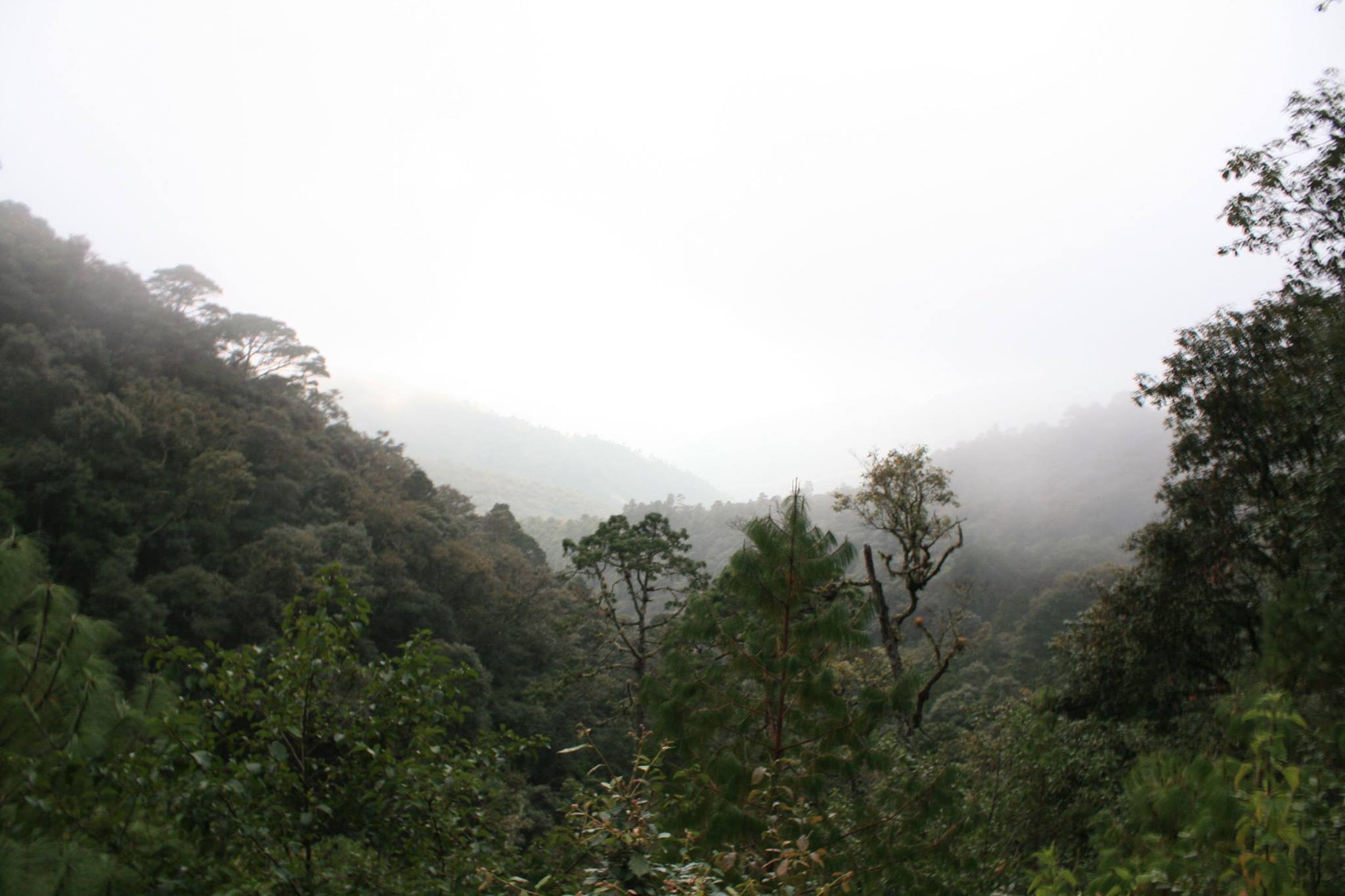 Habitat