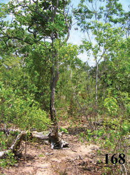 Habitat