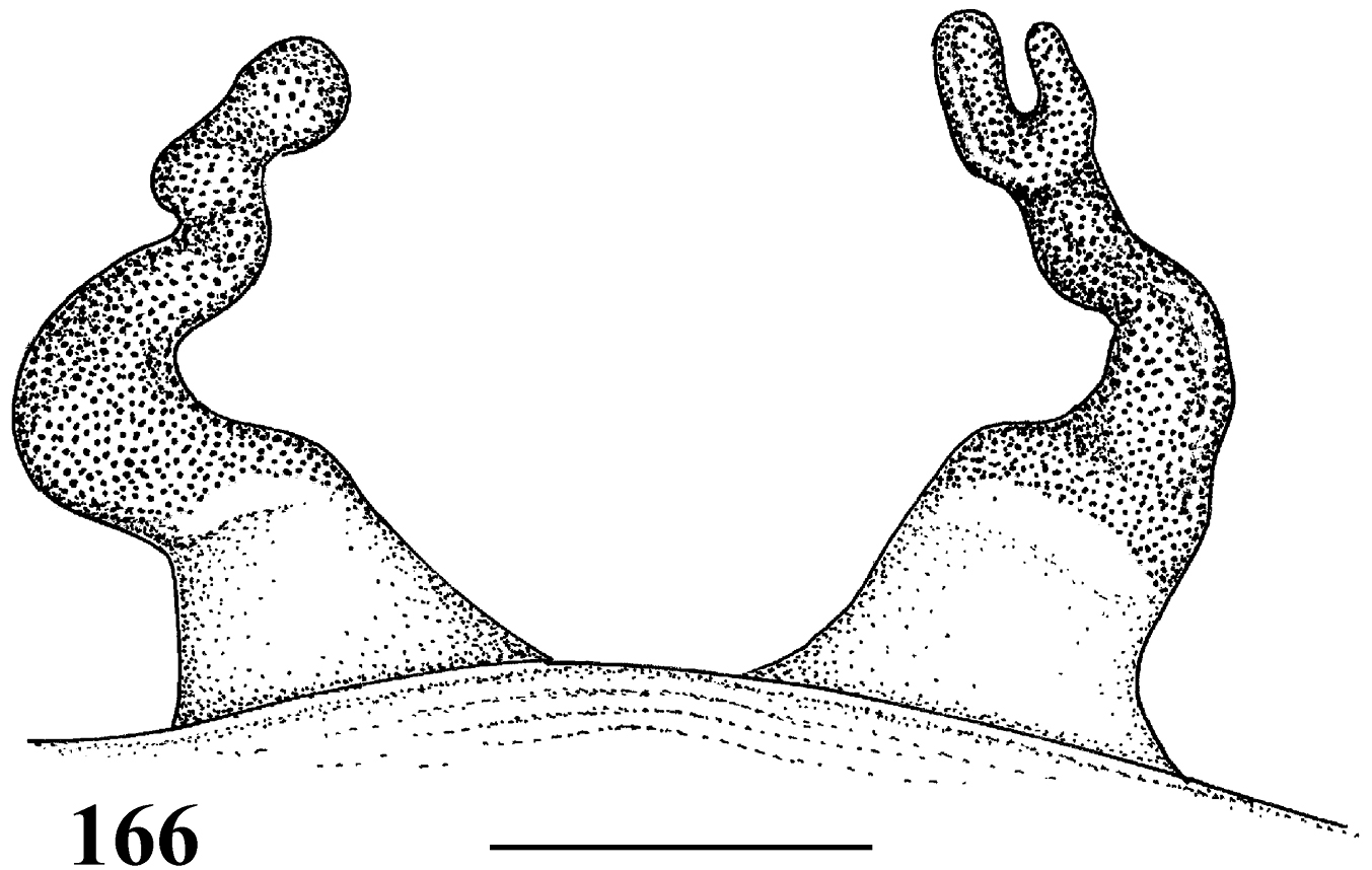 Spermathecae