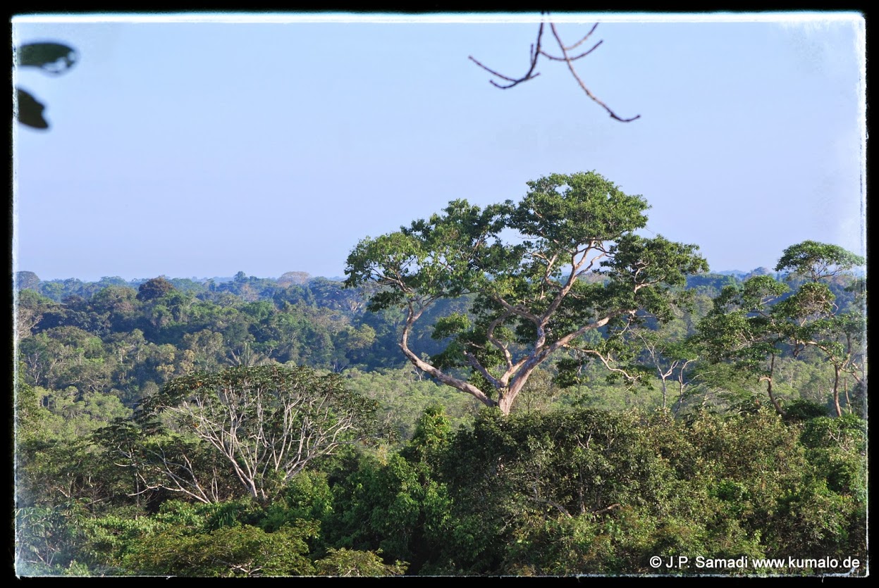 Habitat