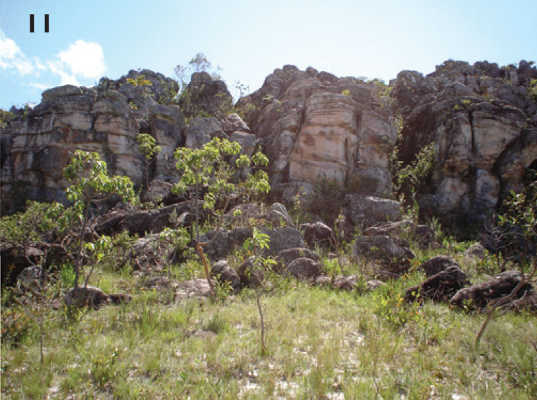 Habitat