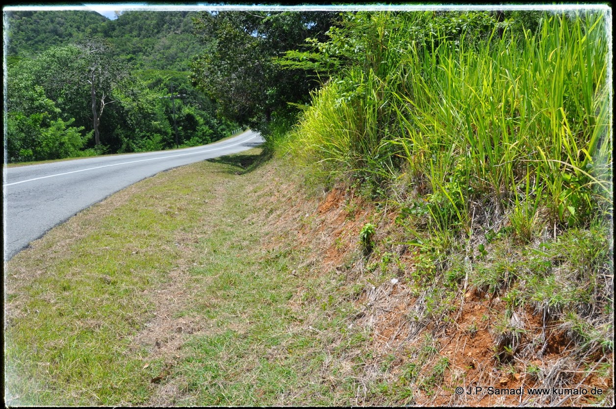 Habitat