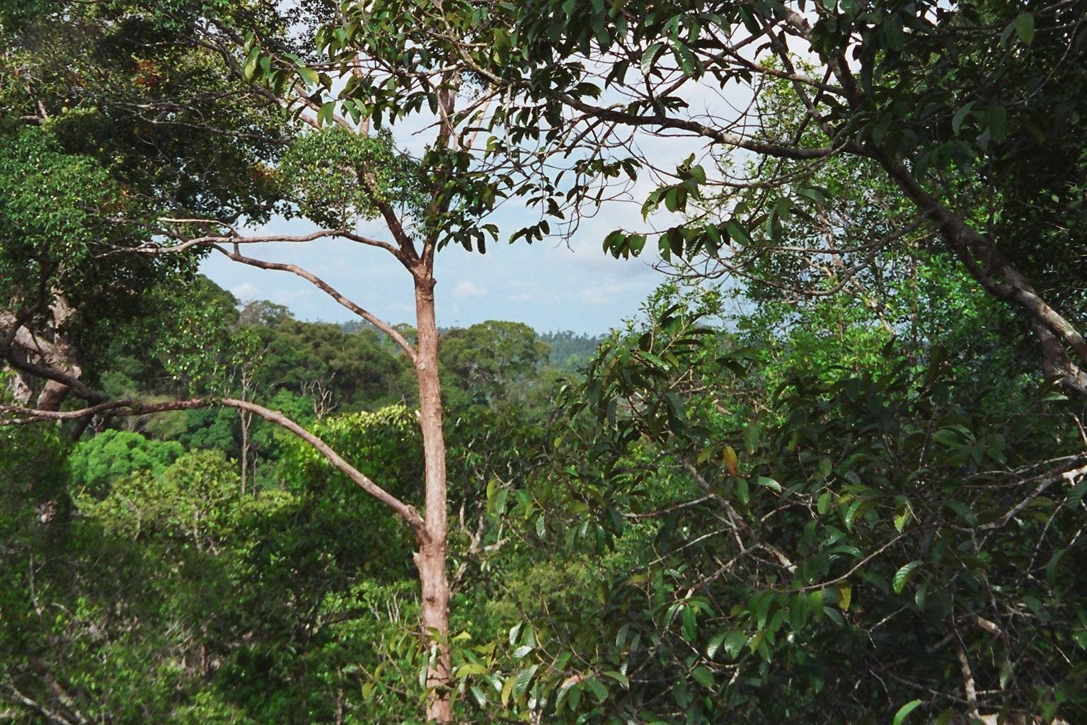 Habitat