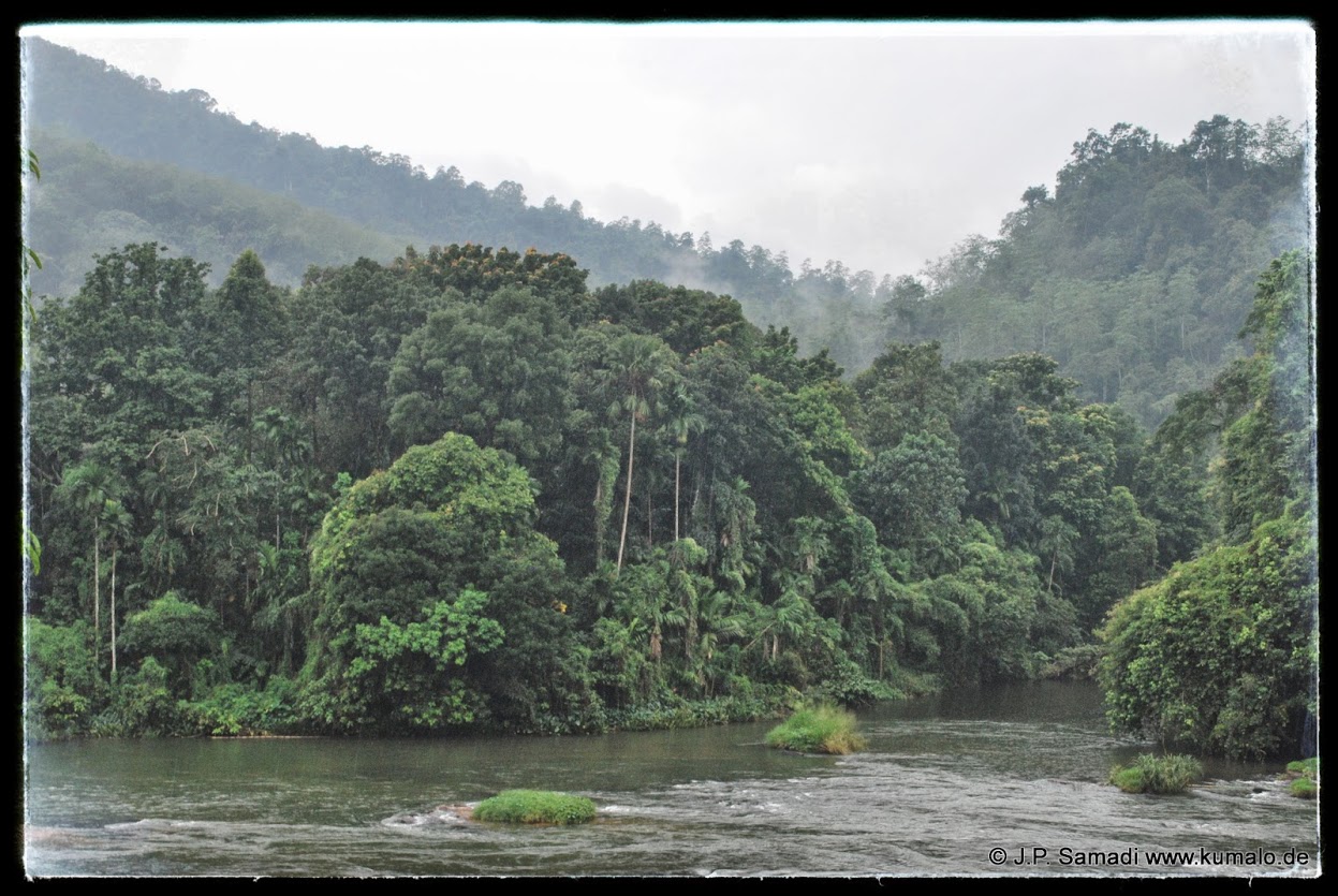 Habitat
