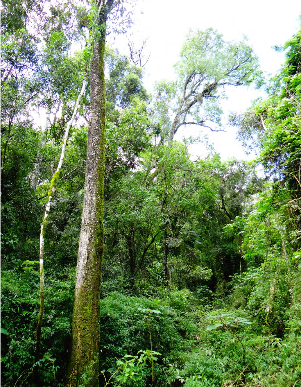 Habitat