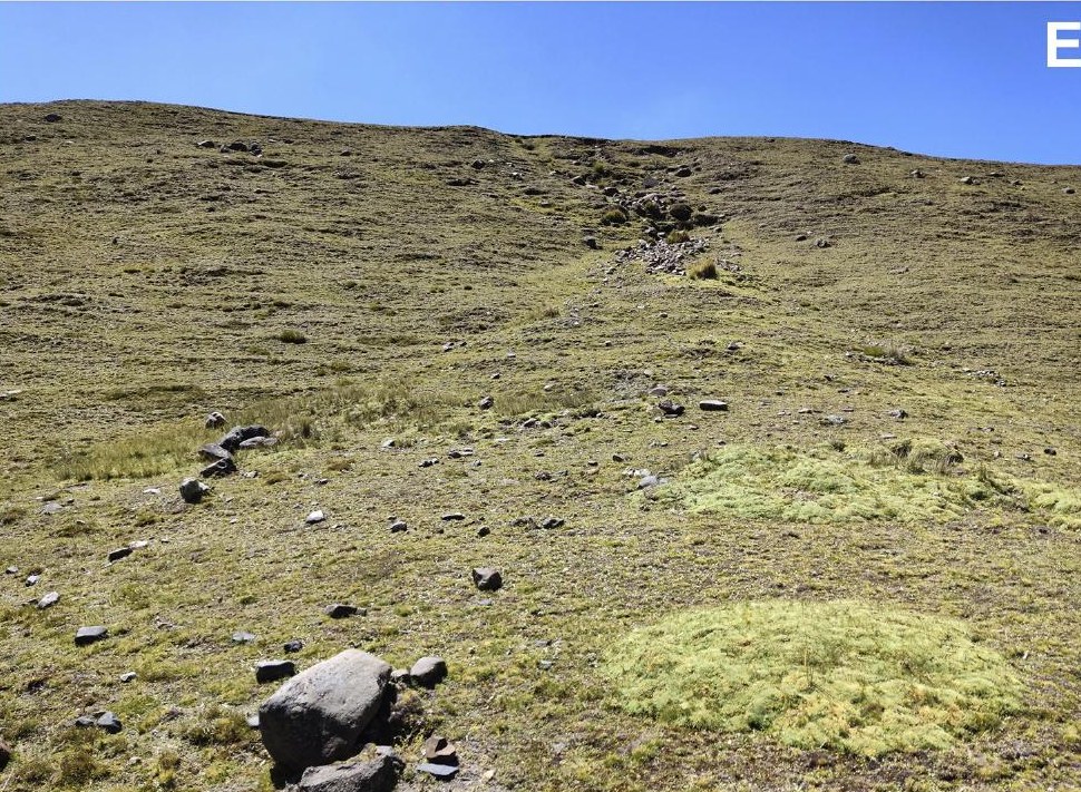 Habitat