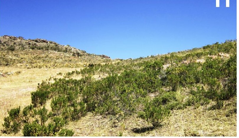 Habitat