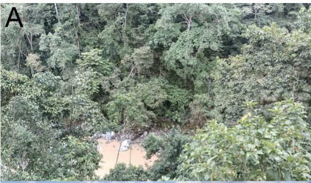 Habitat