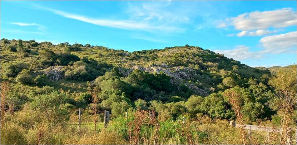 Habitat