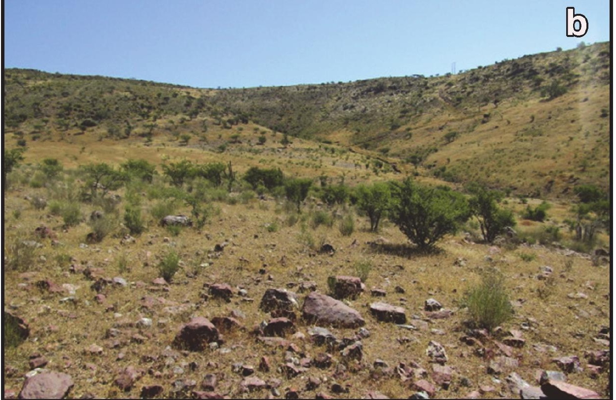 Habitat