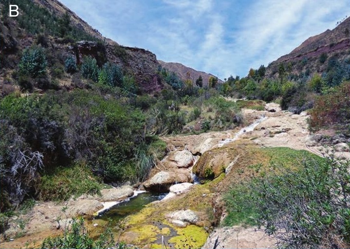 Habitat