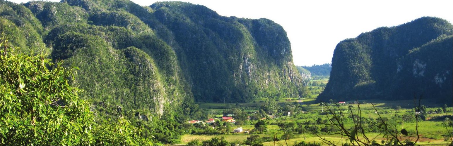 Habitat